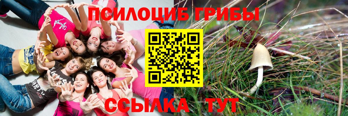 Галлюциногенные грибы Magic Shrooms  Вход с VPN  Россошь 